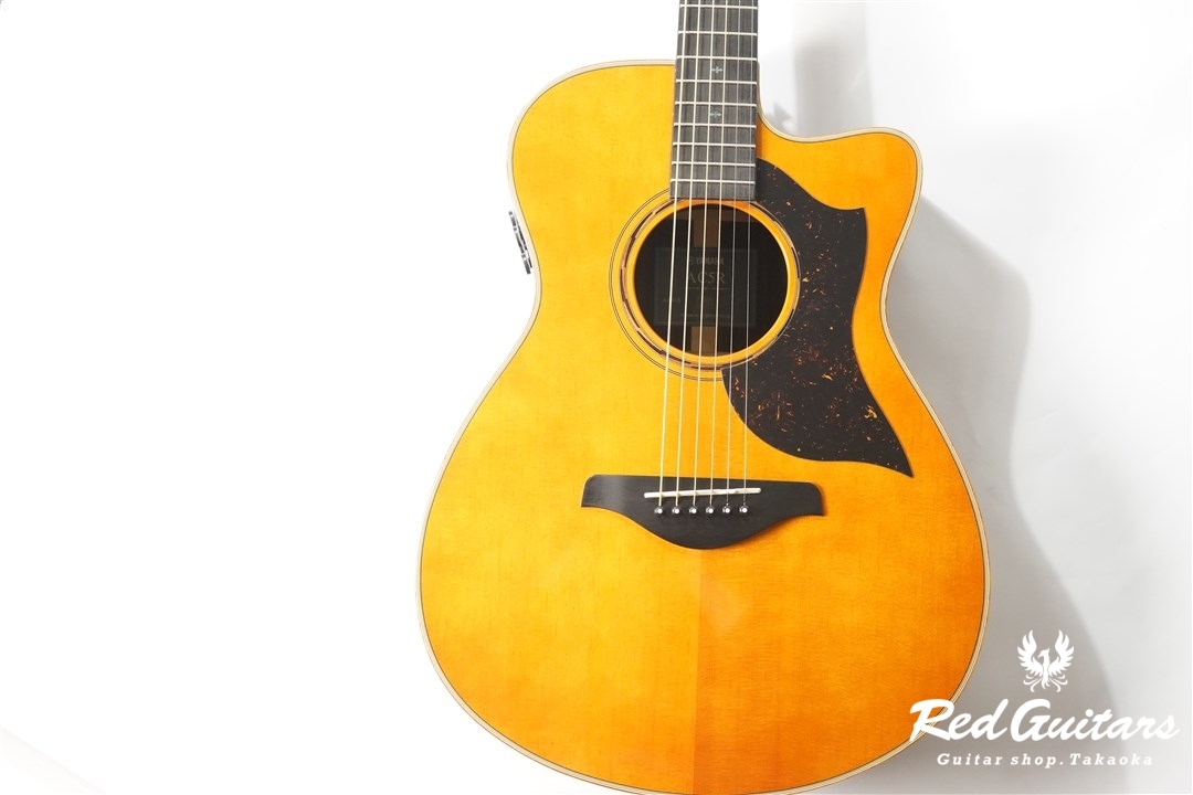 Amazon.co.jp: YAMAHA / AC5R ARE VN(Vintage Natural) [A